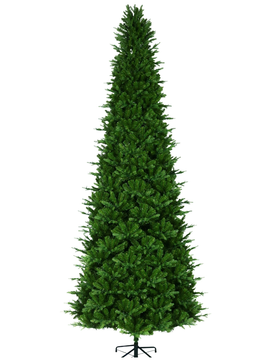 Alberta Slim Spruce 12'